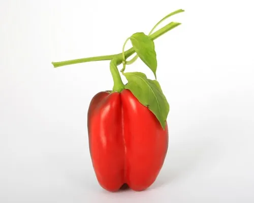 Deneme Ürünü 7